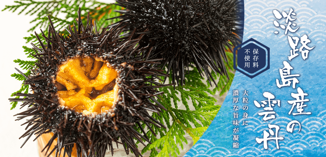 保存料不使用！淡路島産の雲丹 大粒の身に濃厚な旨味が凝縮